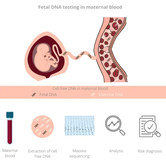 Rh Typing On Fetal DNA in Maternal Blood